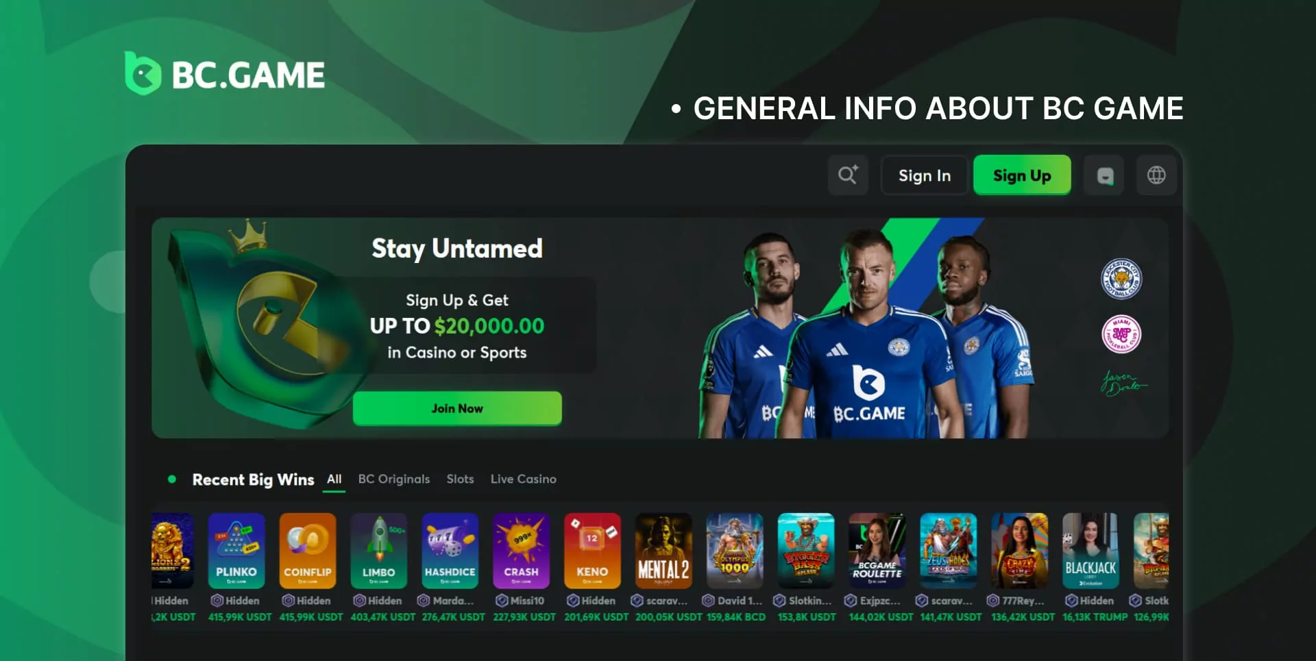 General information about the bookmaker BC Game India