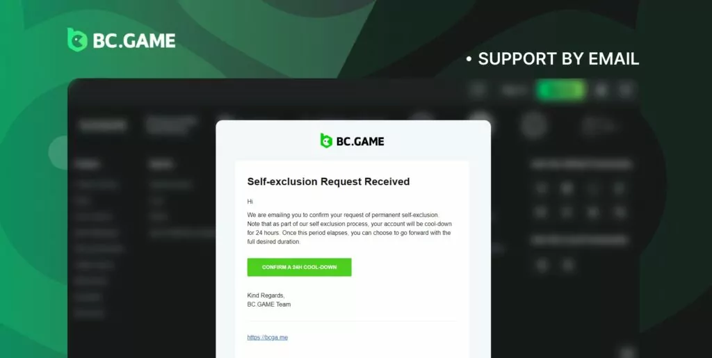 Contact BC Game support by email